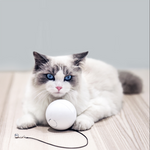 Indlæs billede til gallerivisning The Z1 Smart Interactive Pet 360 Degree Rotating Ball

