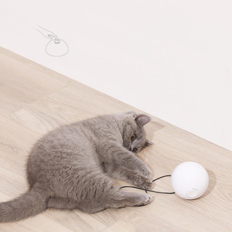 The Z1 Smart Interactive Pet 360 Degree Rotating Ball