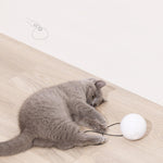 Φόρτωση εικόνας στο εργαλείο προβολής Συλλογής, The Z1 Smart Interactive Pet 360 Degree Rotating Ball
