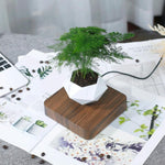 Afbeelding in Gallery-weergave laden, The Z1 Floating Bonsai Plant
