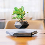 Load image into Gallery viewer, The Z1 Floating Bonsai Plant
