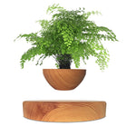 Cargar imagen en el visor de la galería, The Z1 Floating Bonsai Plant
