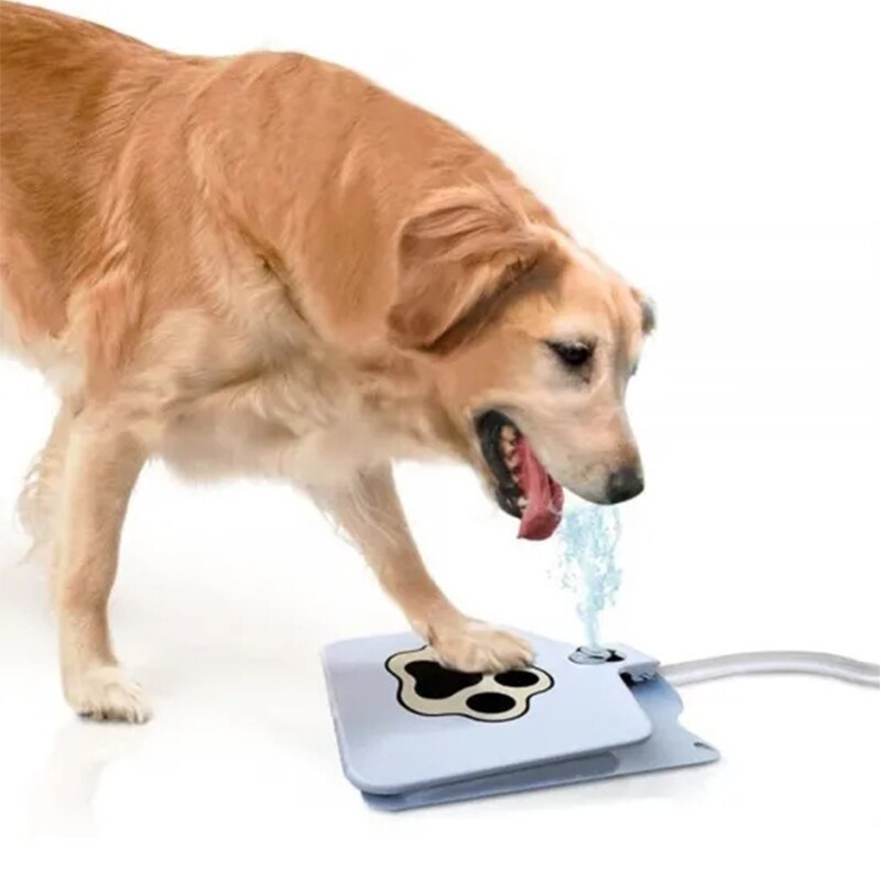 The Z1 Automatic Dog Water Fountain Step On