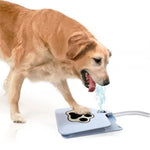 Charger l&#39;image dans la galerie, The Z1 Automatic Dog Water Fountain Step On
