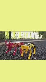 Charger et lire la vidéo dans la visionneuse de la Galerie, The Z1 Solar Electric Dog Cow
