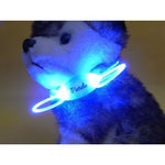 Indlæs billede til gallerivisning The Z1 Dog, Cat Night Light Collar
